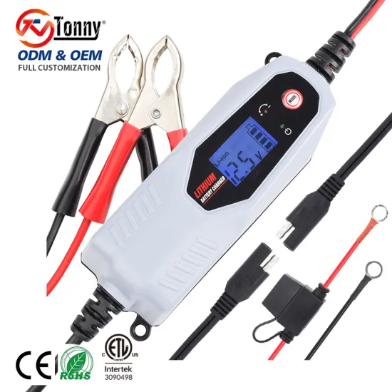 Professional 1.5A 12.6V Li-Ion & LifePo4 Battery Charger with Digital Display