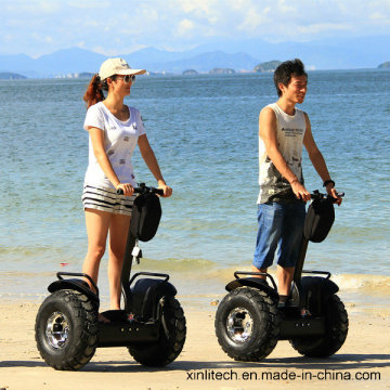 2 Wheel ATV Electric Vehicle Electric Scooter