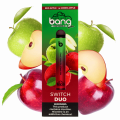 Top Sale Disposable Vape Bang Switch Duo 2500