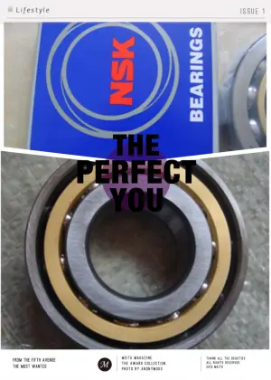 NSK Brand Ball Bearing