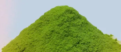 newzealand non GMO green peas powder in good quality