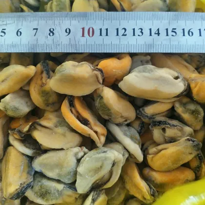 high quality frozen iqf tasty mussel meat