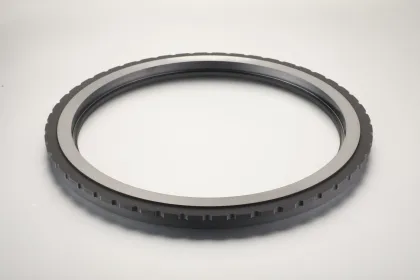Mechanical Graphite Seals for Industrial Dry Gas Seal