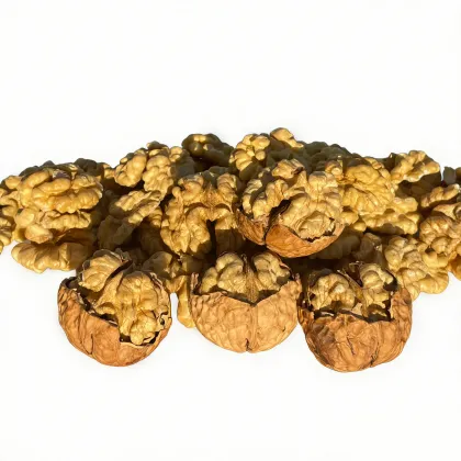 Bulk Wholesale Walnut Fruit