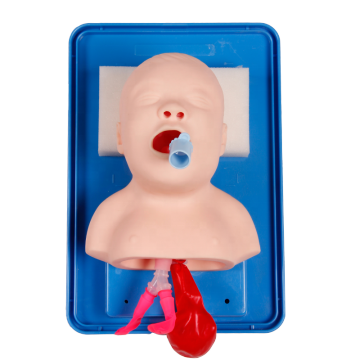 DARHMMY Advanced PVC Neonatal Tracheal Intubation Model for Medical Training