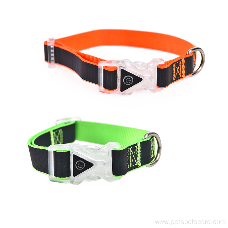 Webbing Designers Dog Small High Quality Dog Collar