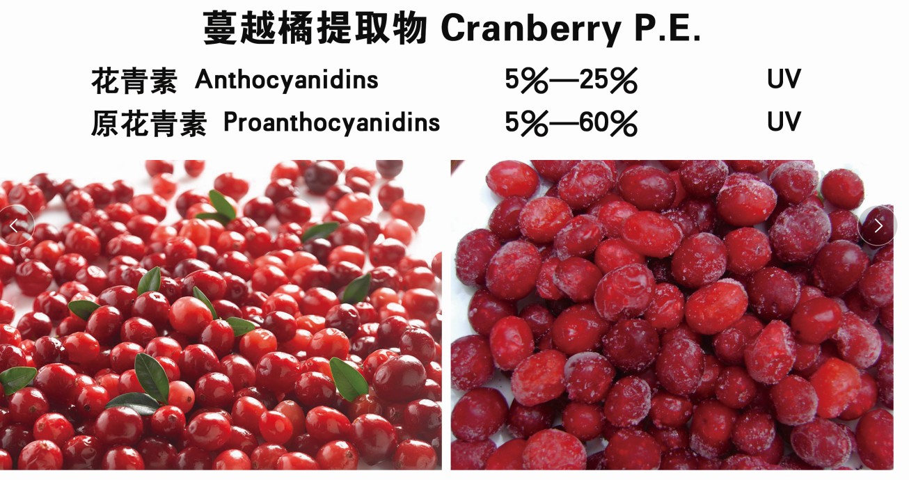 Cranberry