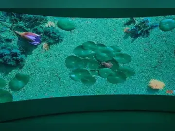Indoor Full Color COB LED Display
