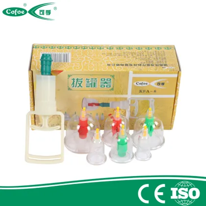 Chinese Therapy Equipment Household Vacuum Cupping