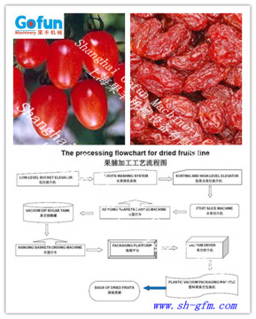 industrial dried fruit processing line