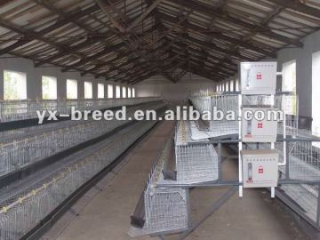 layer poultry cage