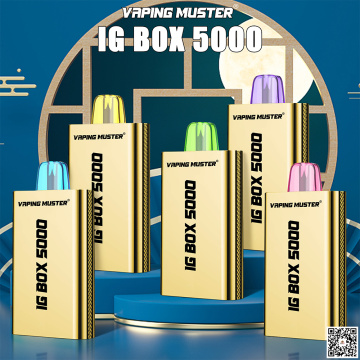 IG Box 5000 Rokok Elektronik