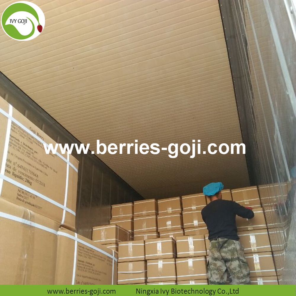 Wholesale Premium Nutrition Eu Standard Goji Berry