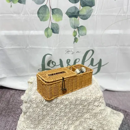 PP Plastic Double-Compartment Tissue Box - Simple Home Storage Solution