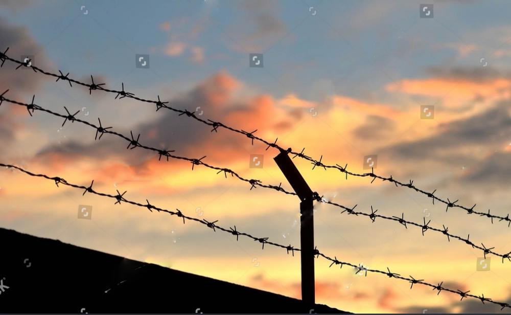 Free Samples Factory Direct Sales barbed wire