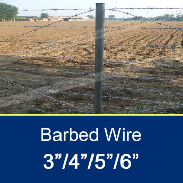 BWG12x12 Barbed Wire Fencing Prices With 3/4"/5"