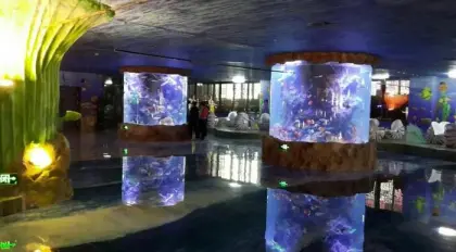 large acrylic aquarium fish tank for restaurant