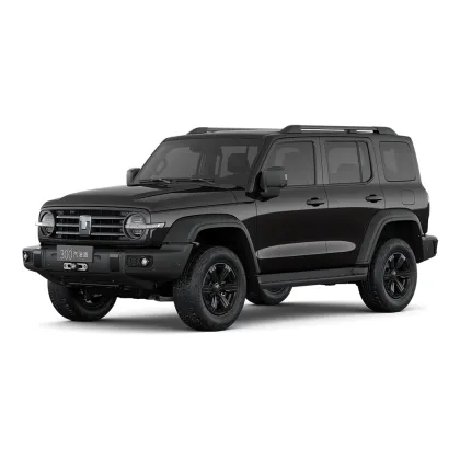 Tank 300 2025 model 2.0T Conqueror