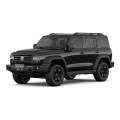 Танк 300 2025 г. Мадэль 2.0T Заваёўнік