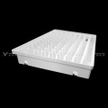 0.1mL PCR Plate 96-well low profile skirted