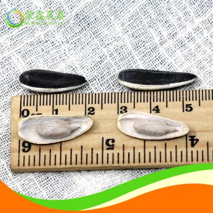 Sunflower Seeds Roasted Salted Chacha