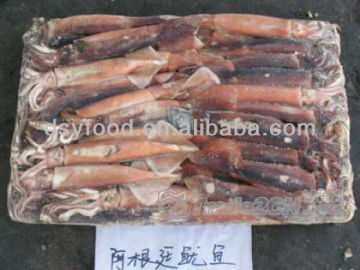 Illex Squid Tube