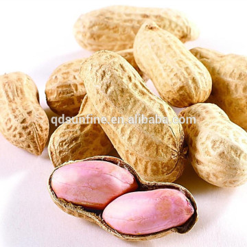Bulk natural organic raw peanuts in shell