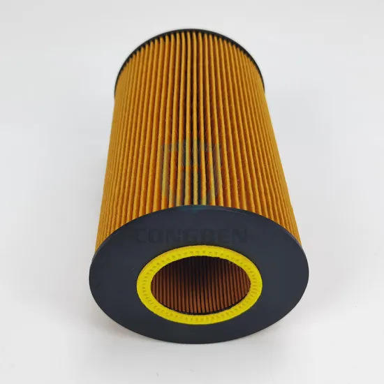 China Made High Quality Vehicle Oil Filter - OEM Oil Filter 51055040122