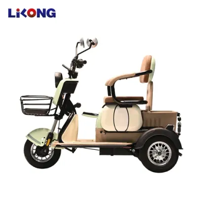 Smart Electric Tricycle for Mobility and Leisure