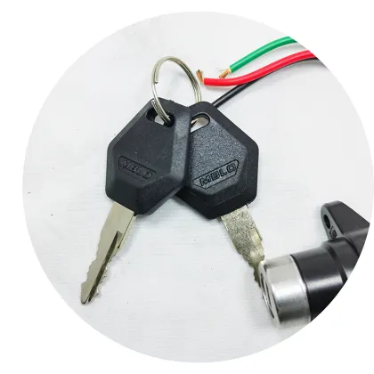 Factory Direct High-Quality 2-Wire 2-Position Electric Motorcycle Ignition Switch for Yadea