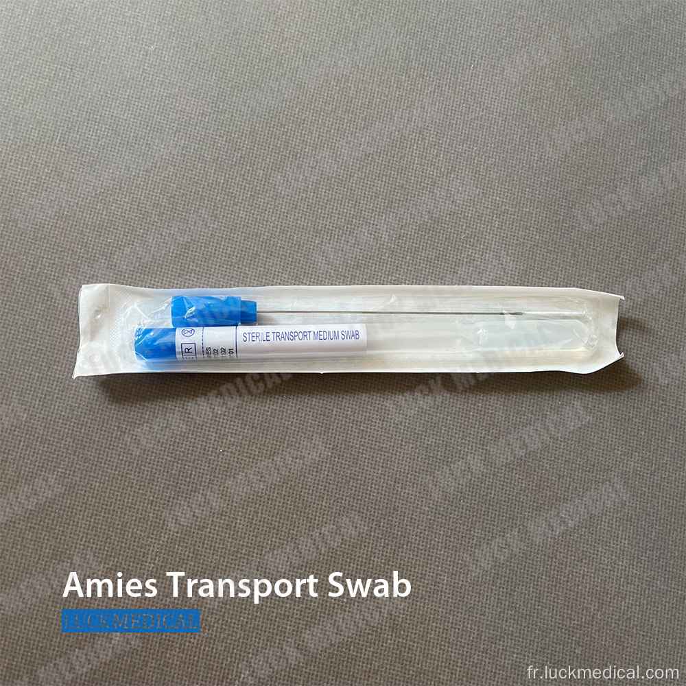 AMIES Transport Écouvillon en acier inoxydable mince