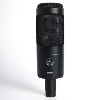 Professional Studio Condenser Microphone for Recording