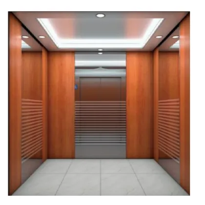 Hot Selling Hairline Stainless Steel Indoor Household Elevator for Villa