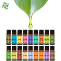 Therapeutic Grade Essential Oil Gift Set