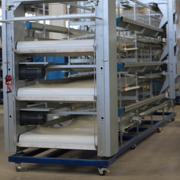 High Quality Manure Scraping System for Poultry Cages
