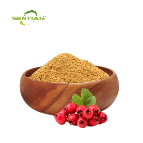 Organic Hawthorn Berry Powder for Natural Health