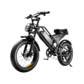 DK401 Electric Fat Bike