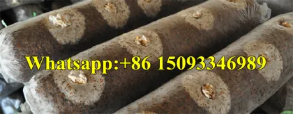 Tremella Mushroom Seeds Inoculating Machine