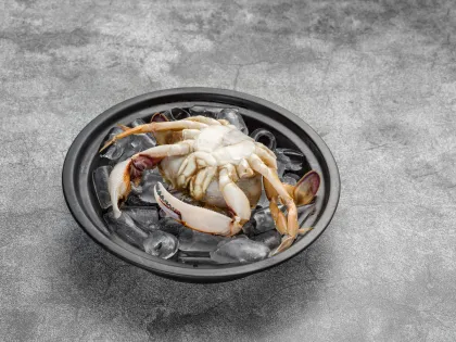 Frozen Sand Crab Seafood