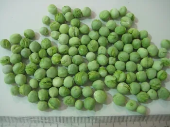 Freeze Dried Green Peas