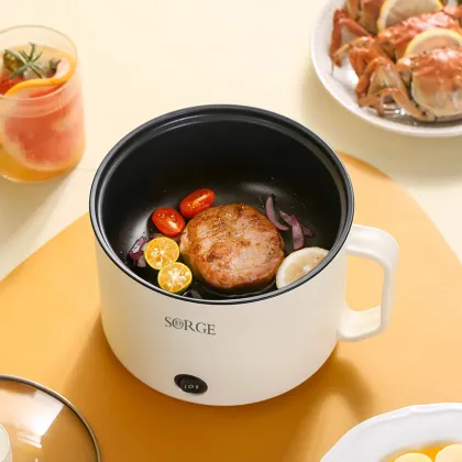 2-Layer Electric Hot Pot for Dormitory and Home