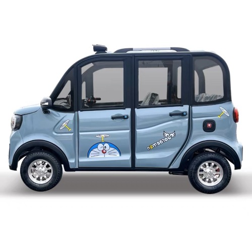 Electric leisure transportation vehicle