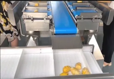 Fruits And Vegetables Weighing And Packaging Machine