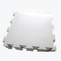 Synthetic Ice Rink Panel