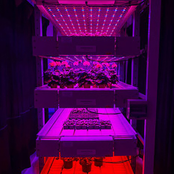 Greenhouse Hydroponic LED Growing Light