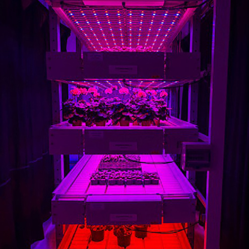 Светодиодные лампы для выращивания растений с гидропоникой для теплиц