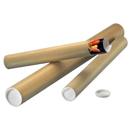 Cardboard Shipping Tube Mailing Poster Packaging Tube
