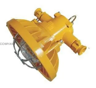 LED Explosion-proof roadway lights lamp