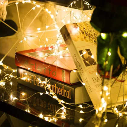 Waterproof Decorative LED Copper Wire Lights