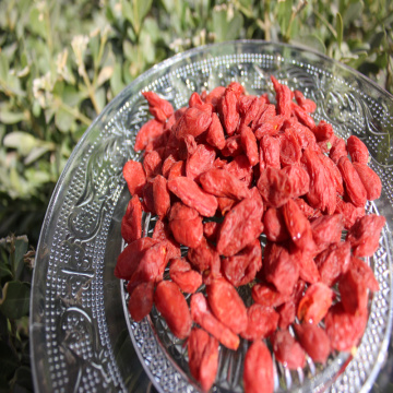 High nutrition Certified Healthy organic Goji Berry